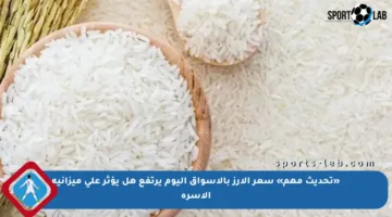 «تحديث مهم» سعر الأرز بالأسواق اليوم يرتفع هل يؤثر على ميزانية الأسرة